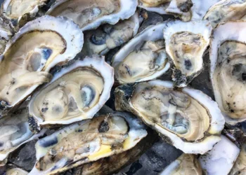 L’Ampolla dona el tret de sortida a les XXXV Jornades Gastronòmiques de l’Ostra amb una Diada plena d’activitats