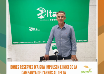 Bones reserves d’aigua impulsen l’inici de la campanya de l’arròs al Delta