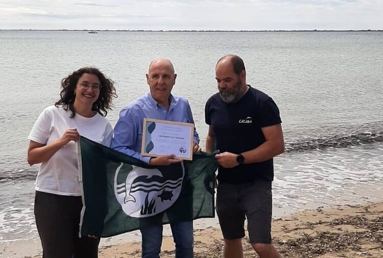 L’Ampolla acull una jornada del CRAM amb l’alliberament d’una tortuga marina