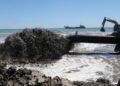 Costes porta 20.000 metres cúbics de sorra al delta de l’Ebre per salvar el cordó litoral de Buda