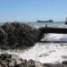 Costes porta 20.000 metres cúbics de sorra al delta de l’Ebre per salvar el cordó litoral de Buda