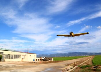El Copate activa la campanya contra el mosquit al delta de l’Ebre amb tractaments en 13.000 hectàrees