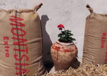 Sant Jaume d’Enveja crearà un centre d’interpretació de l’arròs a la Càmara Arrossera del Montsià