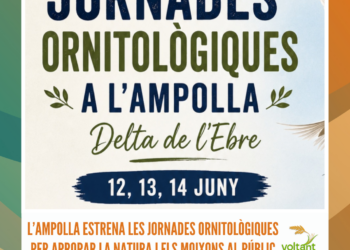 L’Ampolla estrena les Jornades Ornitològiques per apropar la natura i els moixons al públic