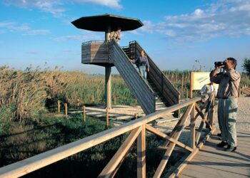 Conservar sense tancar la porta als visitants: el gran repte del Delta este estiu
