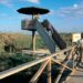 Conservar sense tancar la porta als visitants: el gran repte del Delta este estiu