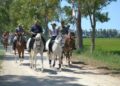 La Romeria de Sant Pere torna a l’Illa de Buda amb tradició, cultura i cavalls
