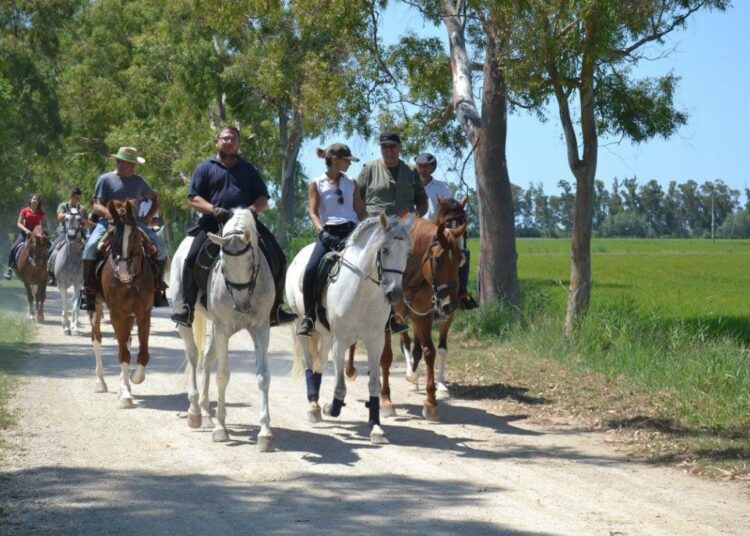 La Romeria de Sant Pere torna a l’Illa de Buda amb tradició, cultura i cavalls