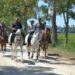 La Romeria de Sant Pere torna a l’Illa de Buda amb tradició, cultura i cavalls