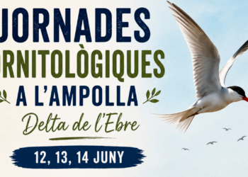 L’Ampolla estrena les Jornades Ornitològiques per apropar la natura i els moixons al públic