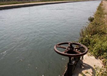 El Delta, entre les prioritats del nou pla de regadius de la Generalitat fins al 2040