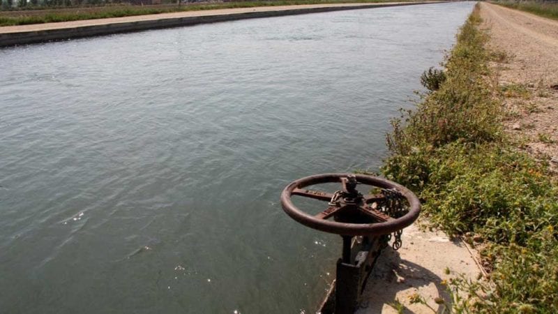El Delta, entre les prioritats del nou pla de regadius de la Generalitat fins al 2040