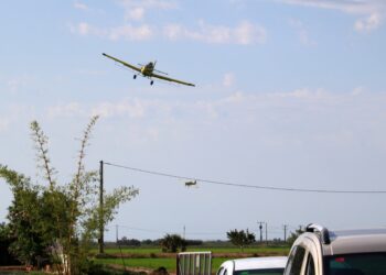 El Delta activa la campanya per frenar els mosquits abans de l’estiu
