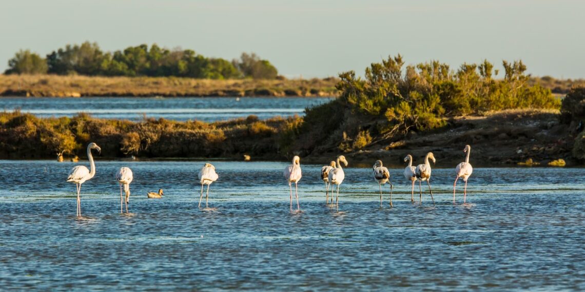 La Reserva de la Biosfera de les Terres de l’Ebre reclama finançament estable per afrontar els reptes de futur