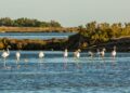 La Reserva de la Biosfera de les Terres de l’Ebre reclama finançament estable per afrontar els reptes de futur