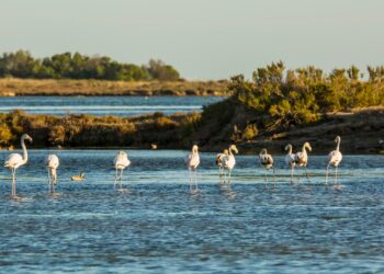 La Reserva de la Biosfera de les Terres de l’Ebre reclama finançament estable per afrontar els reptes de futur