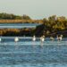 La Reserva de la Biosfera de les Terres de l’Ebre reclama finançament estable per afrontar els reptes de futur