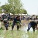Deltebre recupera les seues arrels amb la Festa de la Plantada i un programa complet d’activitats a la Finca de Bombita