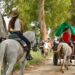 Sant Jaume d’Enveja manté viva la memòria de l’illa de Buda amb la romeria de Sant Pere