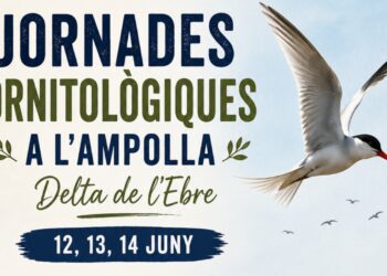 L’Ampolla estrena les Jornades Ornitològiques per apropar la natura i els moixons al públic