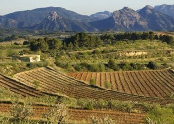 La DO Terra Alta reivindica Mescla i l’enoturisme com a motors de promoció de les Terres de l’Ebre