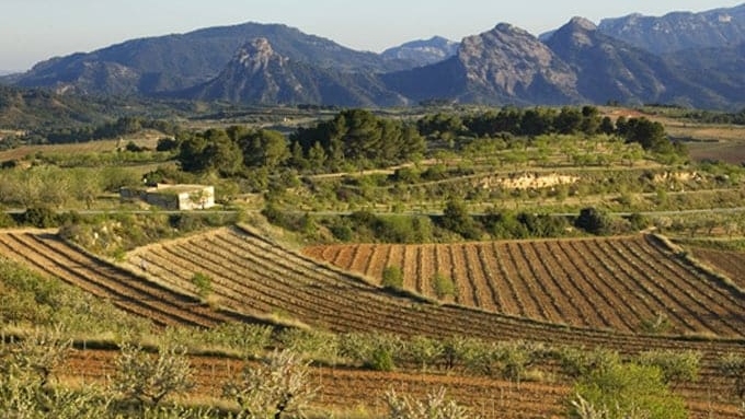 La DO Terra Alta reivindica Mescla i l’enoturisme com a motors de promoció de les Terres de l’Ebre
