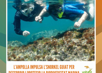 L’Ampolla impulsa l’snorkel guiat per descobrir i protegir la biodiversitat marina