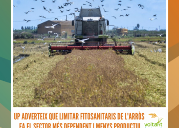 UP adverteix que limitar fitosanitaris de l’arròs al Delta fa el sector més dependent i menys productiu