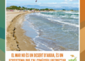 El mar no és un desert d’aigua, és un ecosistema que cal conèixer i respectar