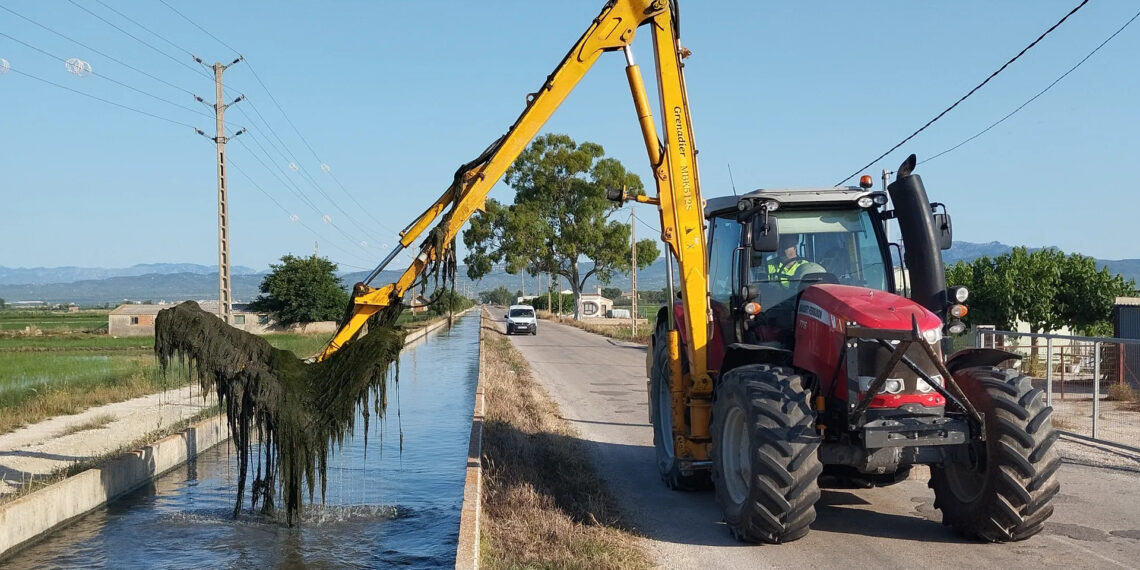 La proliferació d’algues per la calor obliga els regants de l’Esquerra a restringir el reg
