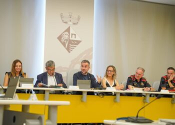 Deltebre registra un descens del 8,4% d’infraccions penals i reclama més efectius per a l’estiu