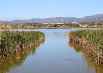 Com veure l’eclipsi solar des del Parc Natural del Delta de l’Ebre
