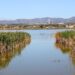 Com veure l’eclipsi solar des del Parc Natural del Delta de l’Ebre