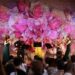 El DeltaChamber Music Festival torna al Delta amb una 11a edició inspirada en el “Carrousel”