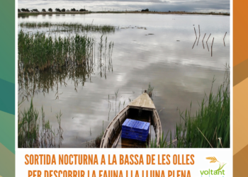 Sortida nocturna a la Bassa de les Olles per descobrir la fauna i la lluna plena
