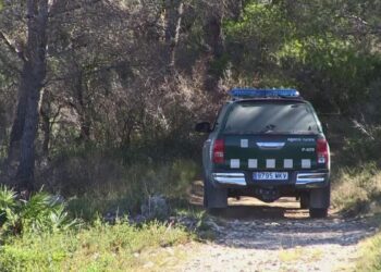 Municipis de les quatre comarques de l’Ebre afronten el perill màxim d’incendi forestal