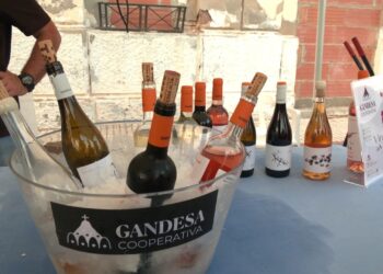 La Fira Vine de Vins de l’Ampolla bat rècords d’assistència en la seva setena edició