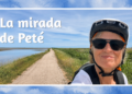 Cotó al delta de l’Ebre a Sant Jaume d’Enveja