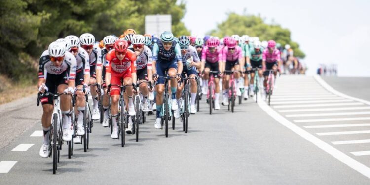 Ciclistes participants en la Vuelta 2026