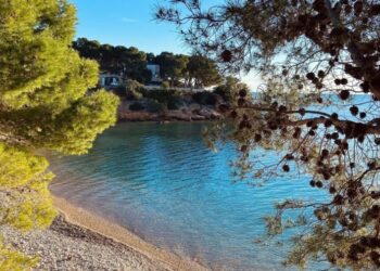 Coneix l’estat i els accessos de les nostres platges per a este cap de setmana