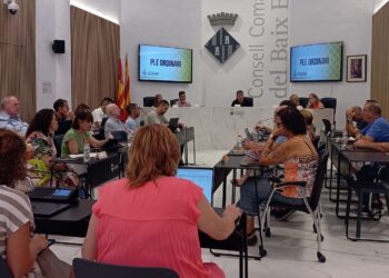 El Baix Ebre reclama frenar la massificació de renovables i donar més veu als ajuntaments