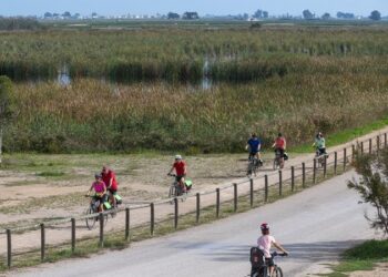 Més de 180.000 persones visiten el Parc Natural del Delta abans d’arribar al pic de l’agost