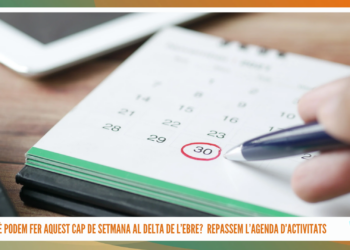 Què fer al Delta de l’Ebre? Repassem l’agenda del cap de setmana