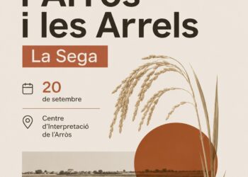 sega Camarles