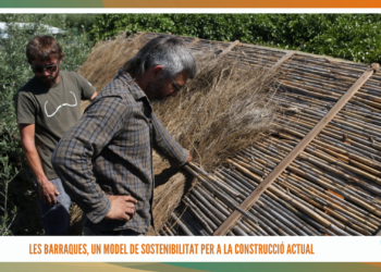 Les barraques, un model de sostenibilitat per a la construcció actual