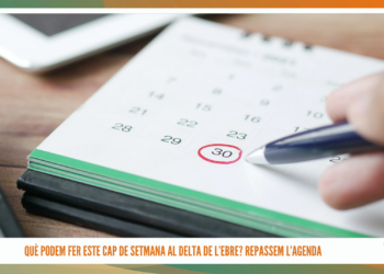 El sector arrosser del Delta alerta de pèrdues de fins a 15 milions d’euros i reclama mesures