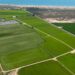 Un projecte vol fer més sostenibles els arrossars del Delta de l’Ebre i millorar-ne la biodiversitat