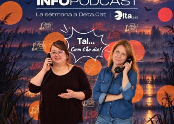 Infopòdcast: Tal com t’ho dic! Una trucada de l’altre món per celebrar Halloween al Delta