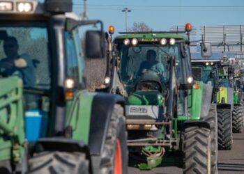 Els pagesos del Delta se sumen a una nova tractorada: «Estem molt pitjor que el 2024»